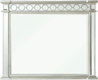 ACME Varian Mirror in Mirrored 26154